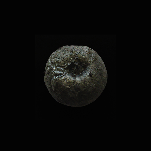 Eve, 2012, digital print from carbonised apple