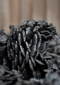 Midden life crisis (detail)